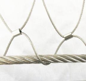 Maglia del cavo metallico dell'acciaio inossidabile per la rete rampicante della foresta del recinto/pianta dello zoo della maglia del cavo