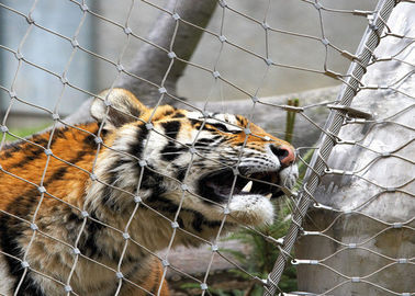 Maglia dello zoo 316/316L dell'acciaio inossidabile, recinzione protettiva di recinzione della gabbia della tigre