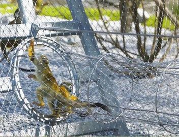Un tipo maglia di 316 puntali dello zoo dell'acciaio inossidabile della corda del cavo di cavo per il reticolato dell'uccello della rete dell'uccelliera